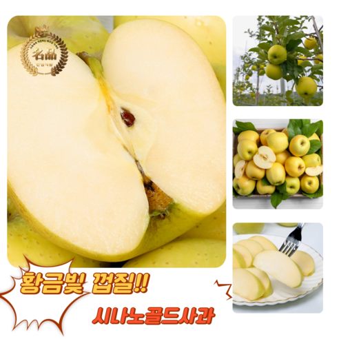 [굿피플] 시나노골드사과 황금사과 골드사과 노랑골드, 1박스, 시나노골드(가정용) 1kg 소과