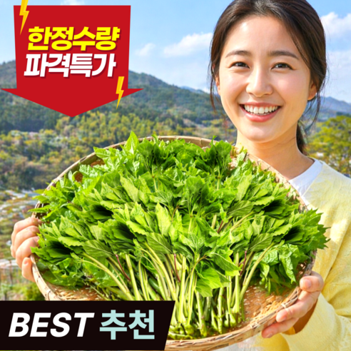 [한정초특가] 첫수확 오가피순 향긋쌉싸름 제철봄나물