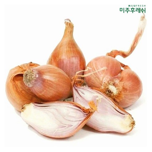 샬롯 생채소 요리용 향채소, 1개, 500g(일반-라운드)