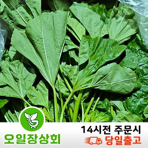 ( 오일장 상회 ) 국내산 아욱 1KG 4KG
