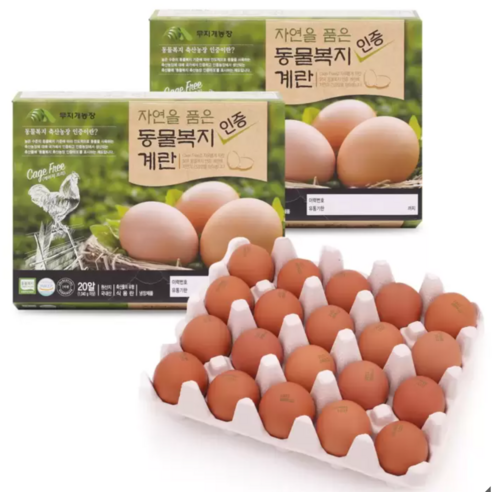 한스팜 자연을 품은 동물복지 인증 계란 20구 x 2개