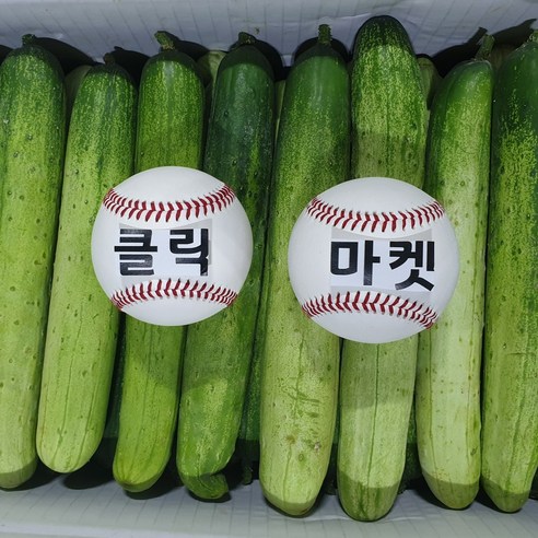 클릭마켓 백오이 백 다다기 오이 오이지 용, 상 5kg, 1박스