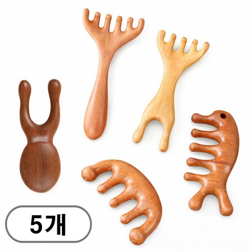 차쿠 (5종세트) 나무 괄사 바디 페이스 두피마사지 괄사 마사지기, 1개