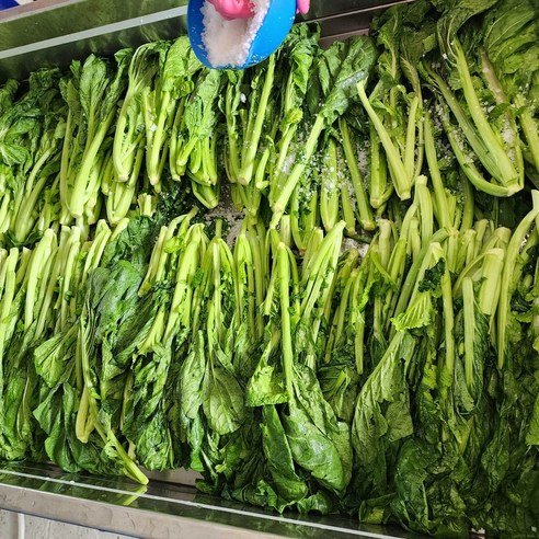 [제니네 제철과일] [SG] 산지발송 여수 돌산 절임 갓 깊은 감칠맛