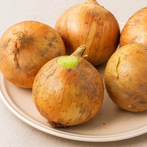 국내산 양파 산지직송 3kg 5kg 10kg