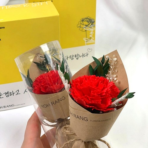5월 16일 쇼핑 트렌드 TOP 16: 샤크선풍기부터 닭가슴살까지! 3 로랑 한송이 카네이션 장미 미니 꽃다발, 카네이션(레드)1+1, 1세트