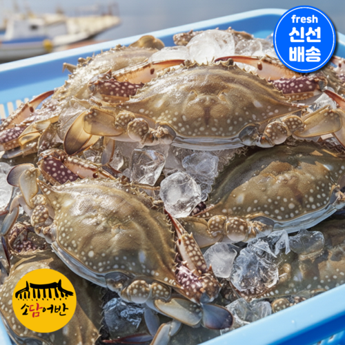 [소담어반] 서해안 당일조업 활 숫꽃게 국내산 꽃게 산지직송, 1개, 2kg(6-8미)