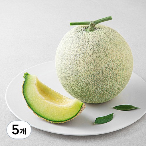 곰곰 머스크 멜론