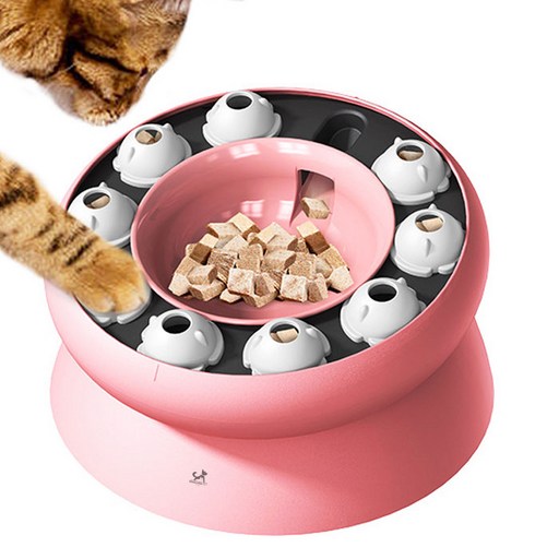딩동펫 고양이 슬로우 푸드 캣볼 장난감