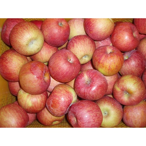 주왕산털보네 하늘사과, 9kg내외, 털보네사과 가정용 꿀사과 9kg 내외 (흠과)