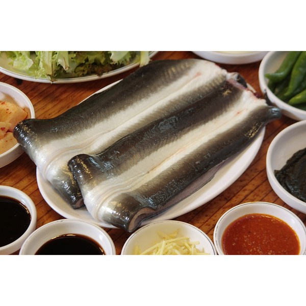 민물장어자포니카: 맛과 건강을 책임지는 최고급 장어의 모든 것