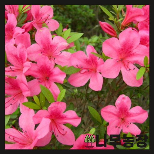4ebd72292cadd306b0a2943be9f5f071de83f78ae21c0a91be614c0c1be6.jpg