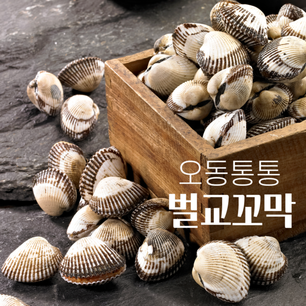 b9e85b3bbfc8c4ead5957762e2ec75208c990ab94634f4fec798e60f49ac.png