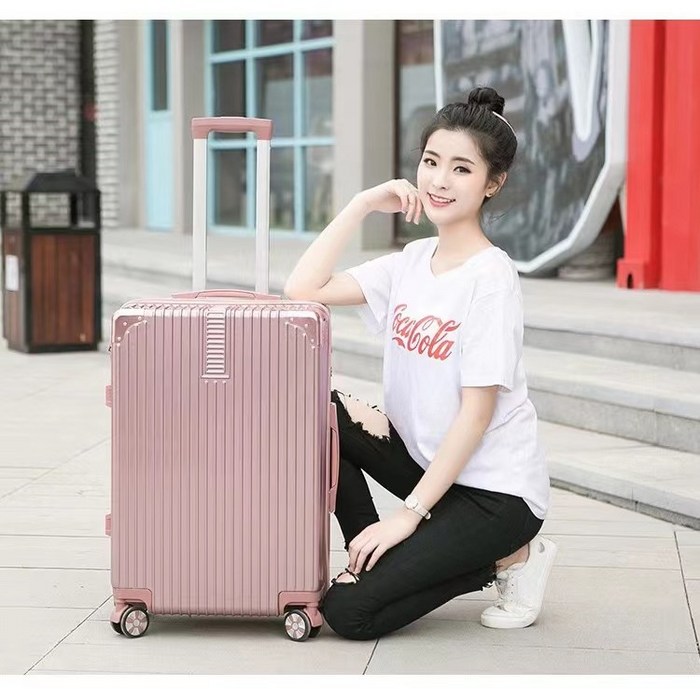 Chephie 알루미늄 프레임 하드캐리어