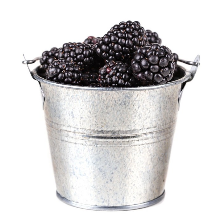 억수로상회 고창 산지직송 블랙베리 급냉특품 슈퍼복분자 소포장, 1개, 2.5kg