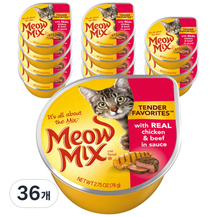 미유믹스 생후3개월 이후 고양이 리얼 주식캔