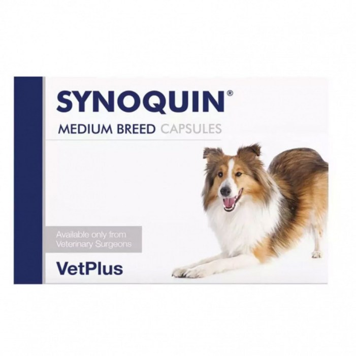 사이노퀸 시노퀸 중형견 관절영양제 120 캡슐 Synoquin EFA Capsules Medium Breed Dog