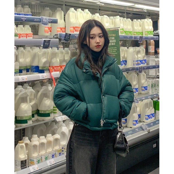 워너비뮤즈 웰론100 하이넥 크롭 웰론 무광 숏패딩 점퍼 워너비뮤즈 웰론100 하이넥 크롭 웰론 무광 숏패딩 점퍼