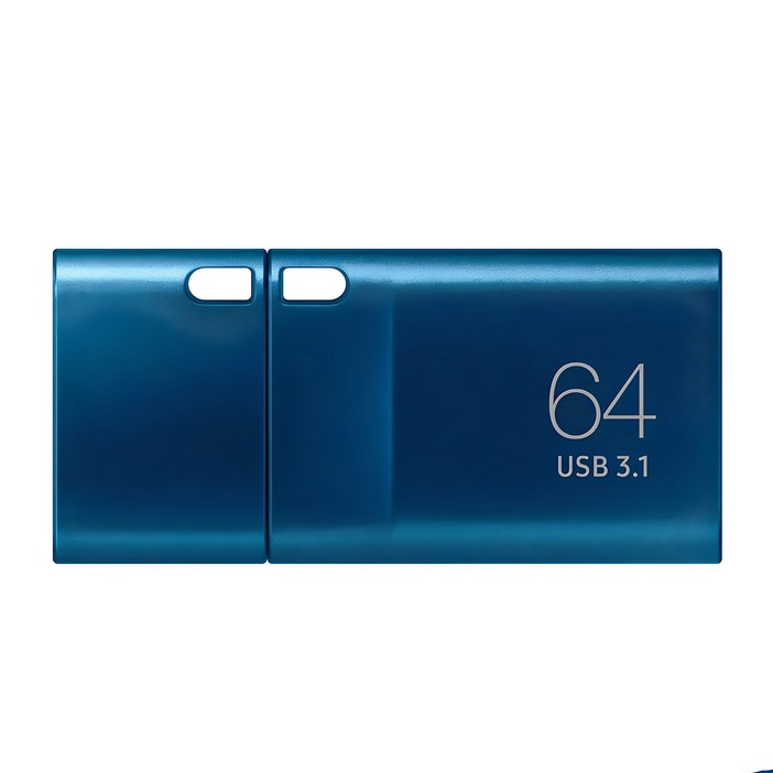 삼성전자 Flash Drive Type C USB 메모리 MUF64DAAPC