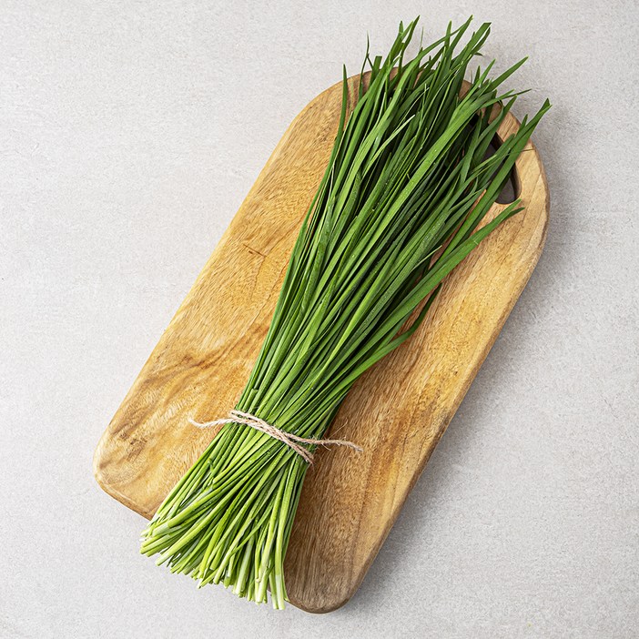 [로켓프레시] 국내산 부추