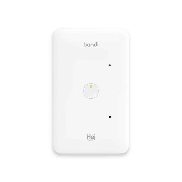 헤이홈 IoT 스마트 조명 스위치 2선식 1구
