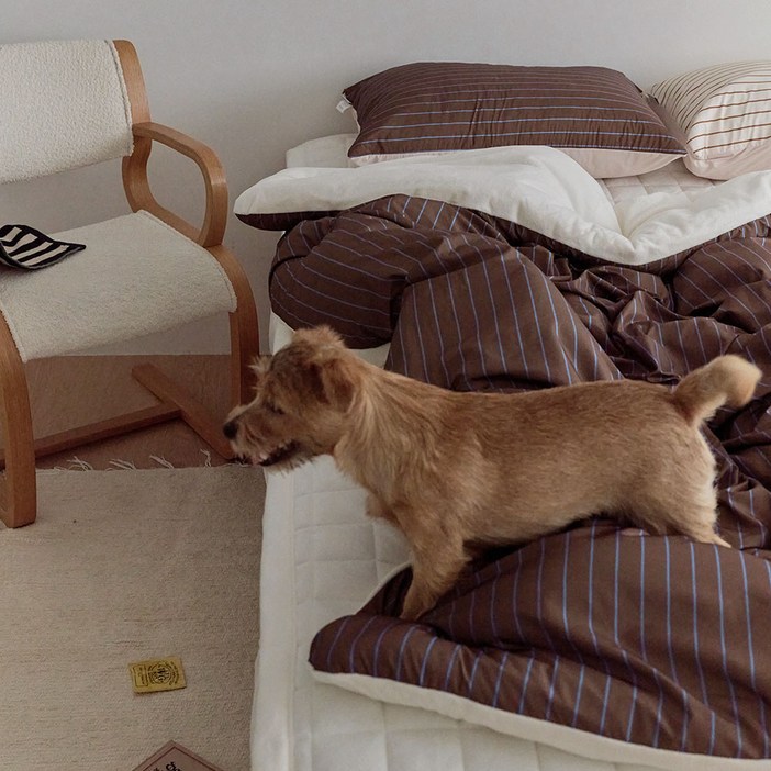 깃든 나란히 스트라이프 밍크 극세사 차렵이불