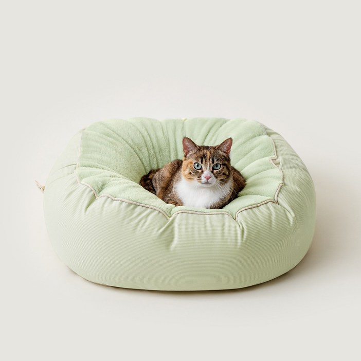 동원아르르 고양이 양면 꿀잠해먹방석