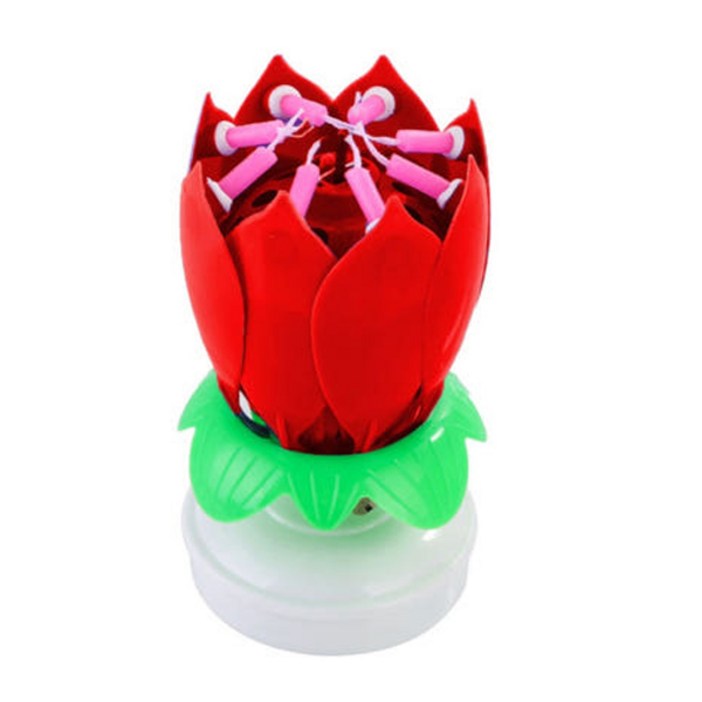 스토리빙 생일 축하 초 연꽃 멜로디 선물 파티 용품 + 숫자 토퍼 19p 세트, 레드