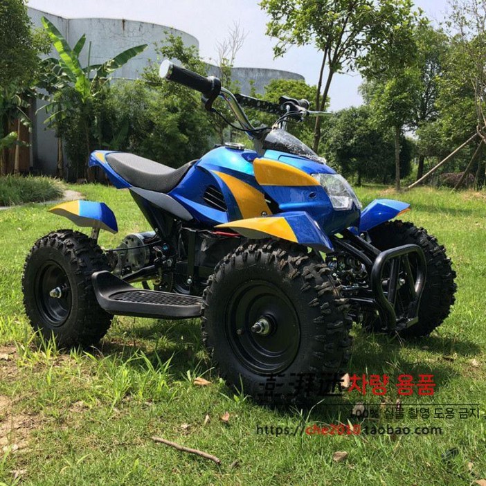 전동ATV 미니 4륜 레저 바이크 오토바이 시골 전동 스쿠터 산악 ATV