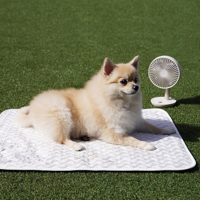 [본사직영] 커블 듀라론 댕냥이 쿨매트 / 강아지 쿨매트, 1개