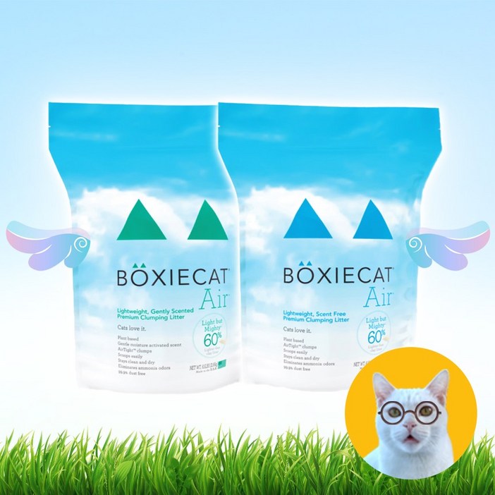 BOXIECAT 벅시캣 에어 블루그린, 1개, 2.95kg