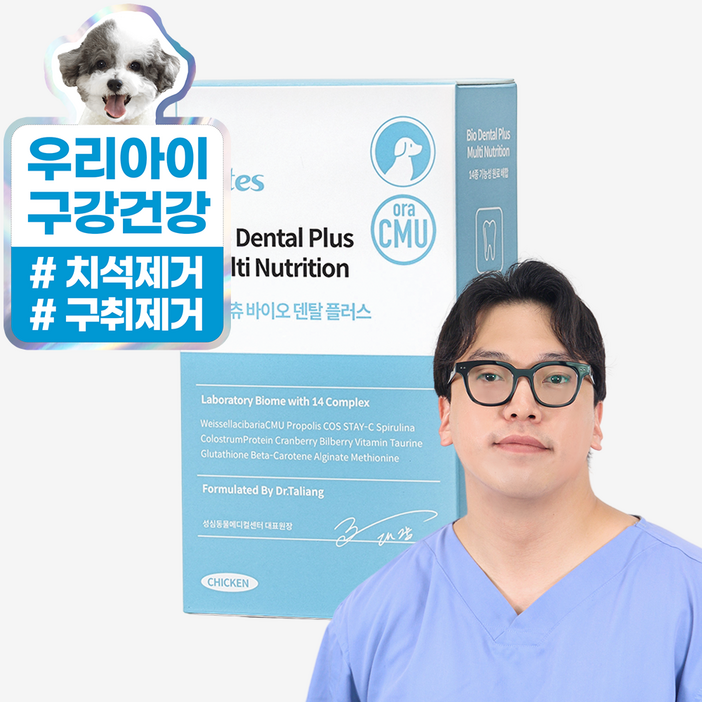 마싯츄 강아지 구강 덴탈