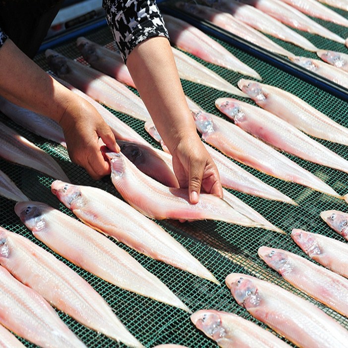 수산대장 반건조박대 30cm내외 특대 흰살생선 반찬 서대, 800900g 8미, 1세트