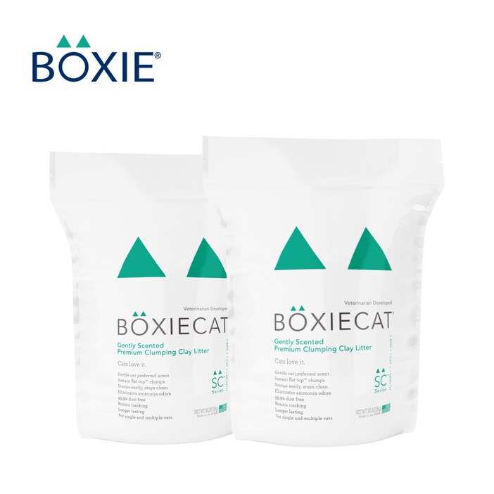 벅시캣 고양이 화장실 모래