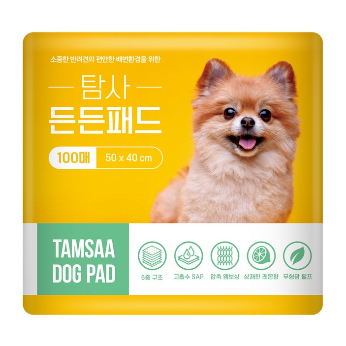 탐사 고흡수 든든패드 레몬향