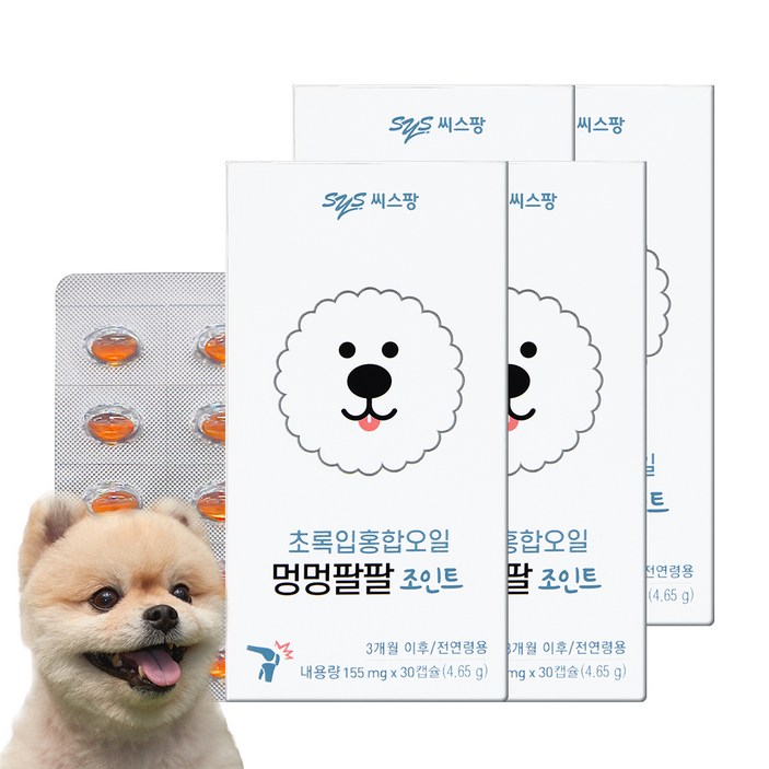 씨스팡 멍멍팔팔 조인트 반려견 관절 영양제, 초록입홍합, 4개
