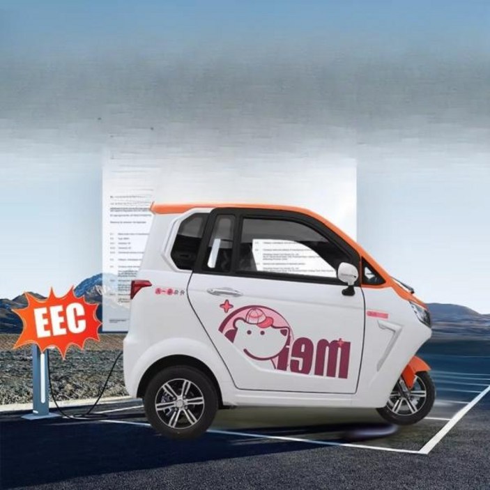 3발 전기자전거 어르신 탑 베 웰 고성능 전기차 3륜 3인승 성인용 전기 자전거 자동차 밀폐형 삼륜차