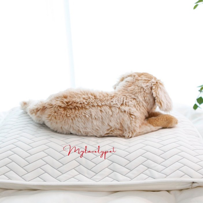 애견 듀라론 냉감 쿨매트 강아지 고양이 반려동물 쿨링 여름패드 미쎄스깡, 1개 애견 듀라론 냉감 쿨매트 강아지 고양이 반려동물 쿨링 여름패드 미쎄스깡, 1개