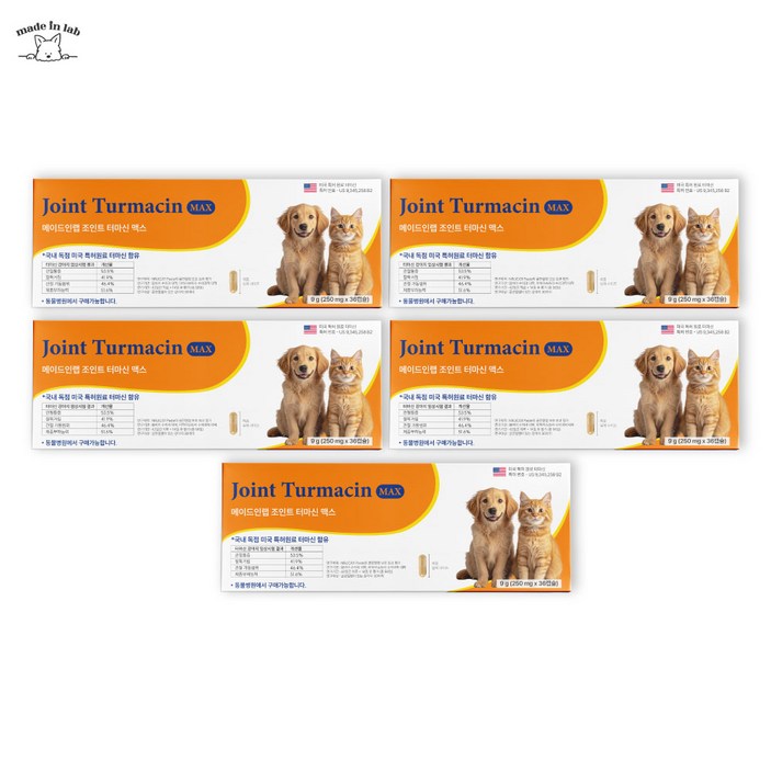 메이드인랩 조인트 터마신 맥스 강아지 관절영양제, 5세트, 뼈/관절강화, 36정