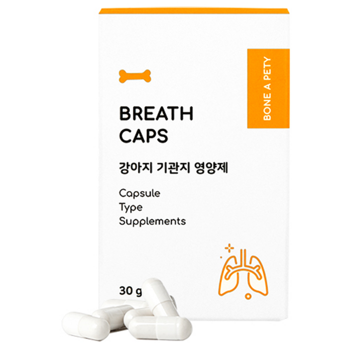 본아페티 강아지 캡스 영양제