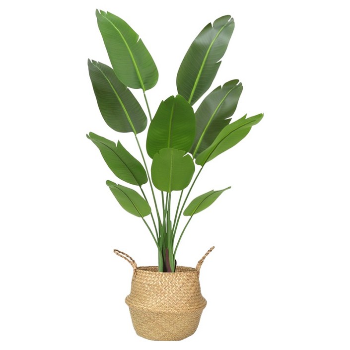 아르띠콜로 플랜테리어 극락 조화 나무 160cm, 해초 바구니, 그린, 1개