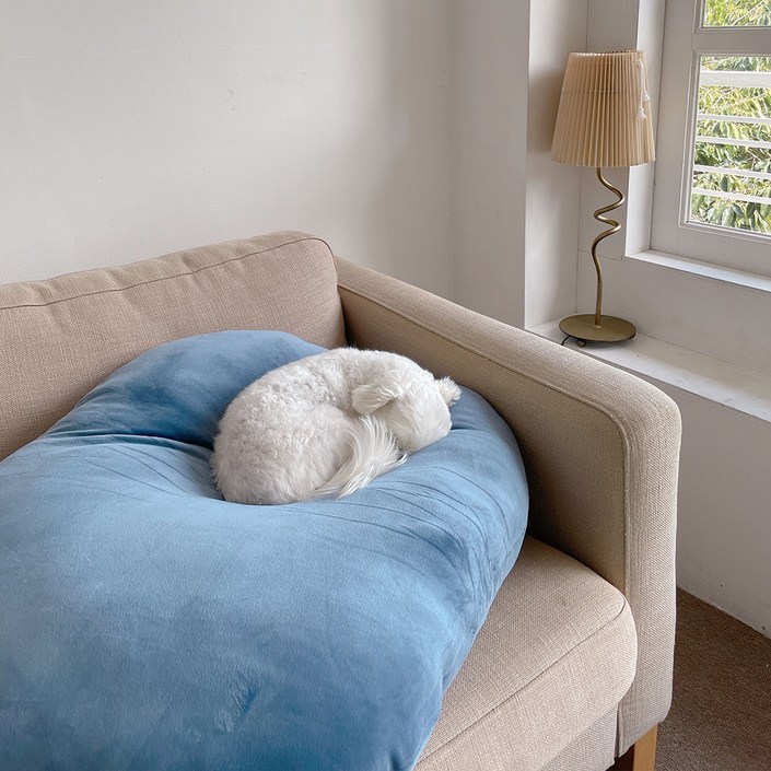 리브숨 모찌쿠션, 네이비