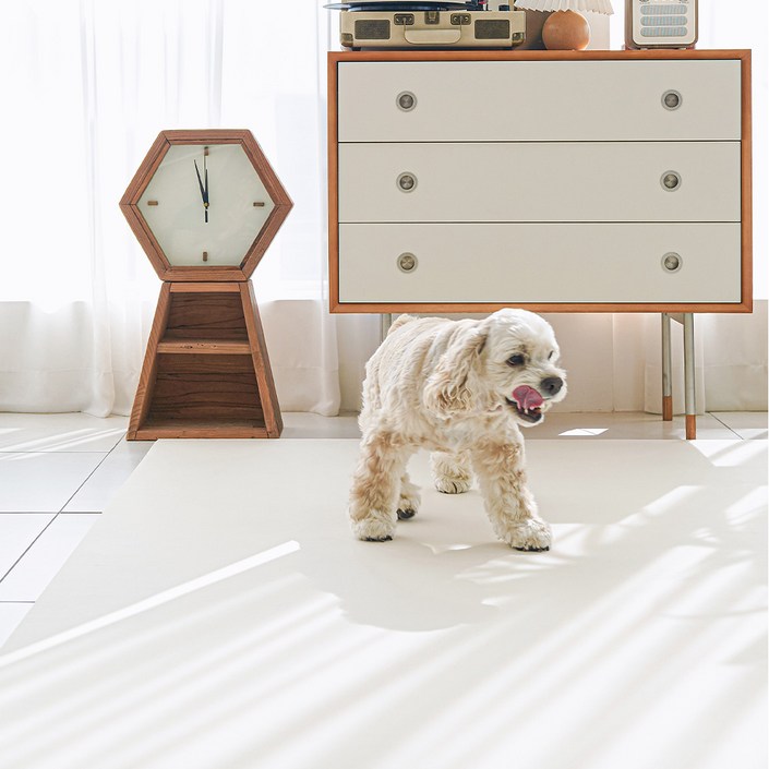 이리로 반려동물 실리폼매트 강아지매트 논슬립 방수 방오, 1개, 코지 아이보리