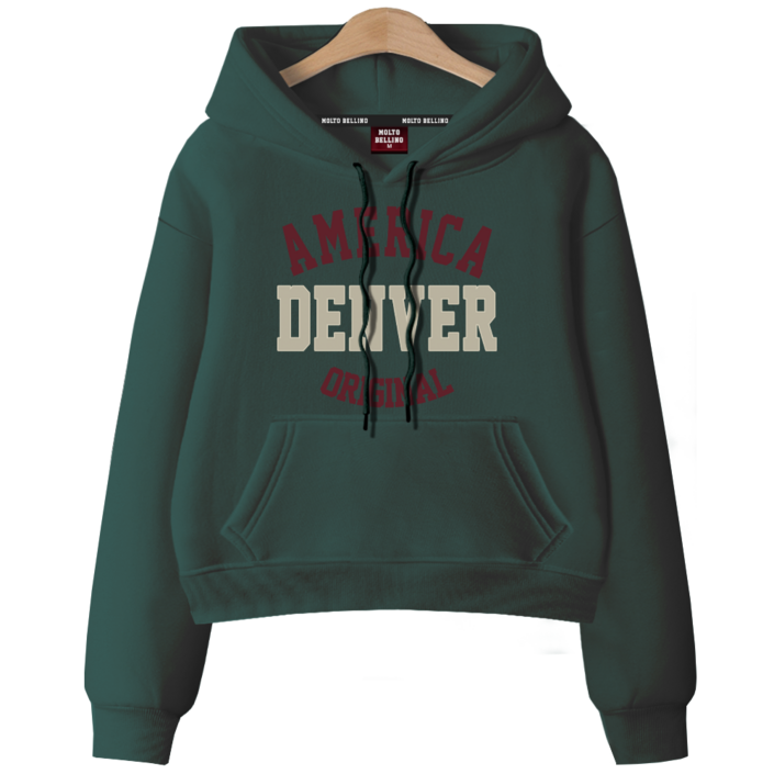 [ANSANGSA] 기모 댄버A 여성 semi크롭 루즈핏 후드 티셔츠