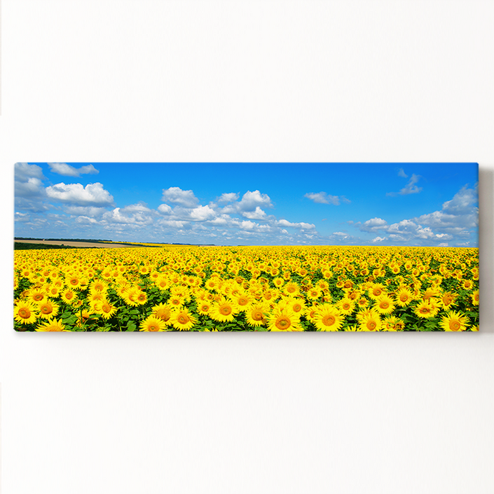 돈들어오는 황금빛 해바라기 풍수 그림 캔버스 액자 더아트컴퍼니 재물운 인테리어 집들이 개업 추석 효도 부모님 선물, 캔버스L형액자 소형 106x40cm