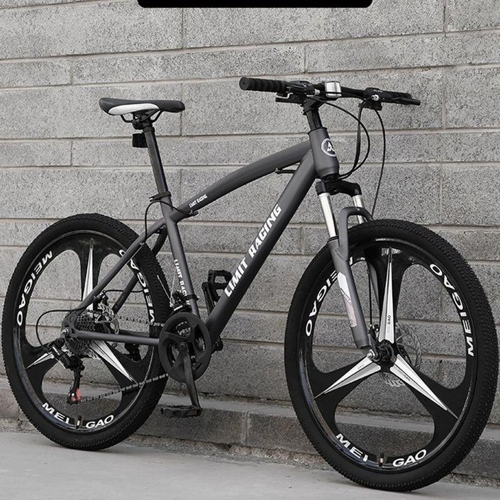 산악 자전거 엠티비 트렉 입문용