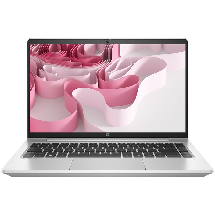 프로북 440 G10-9F178PT 13세대 인텔 i5 8GB SSD 512GB 윈도우11홈 사무용 업무용 인강용 14인치 HP노트북, 440 G10-9F178PT, WIN11 Home, 8GB, 2TB, 실버