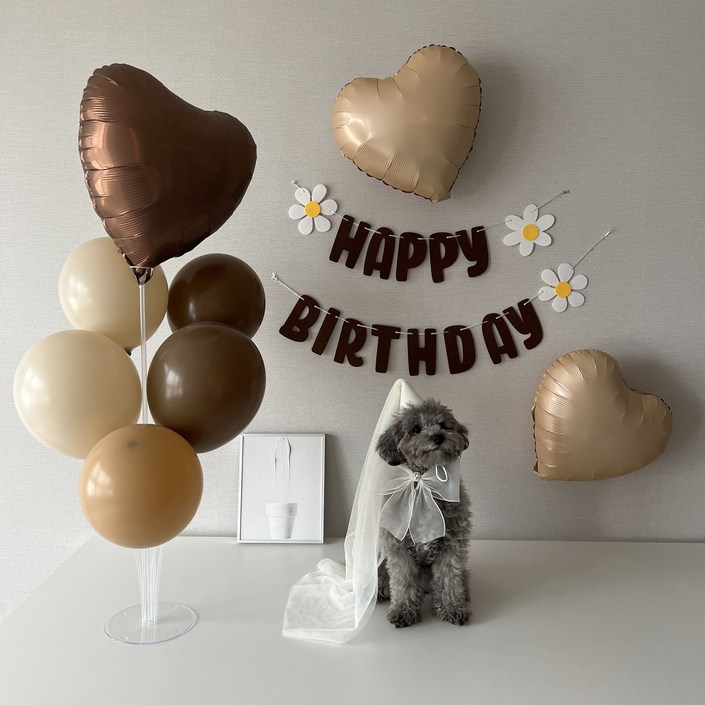 하피블리 강아지 생일 파티 베이지 하트 풍선 브라운 데이지 가랜드 생일상 세트, 생일가랜드브라운 하피블리 강아지 생일 파티 베이지 하트 풍선 브라운 데이지 가랜드 생일상 세트, 생일가랜드브라운