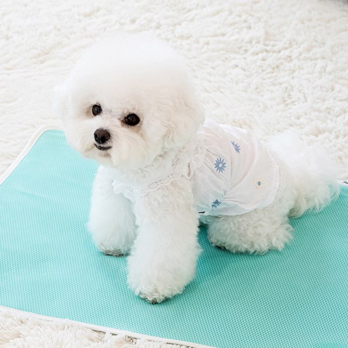 루플리 에코패드 대형 L 3장세트 빨아쓰는 배변패드 다회용 강아지 논슬립, 3개