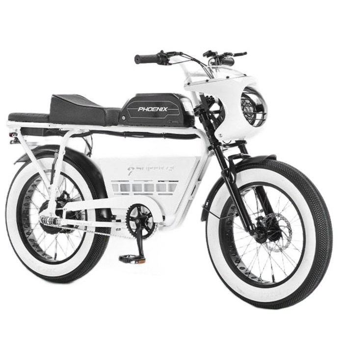 피닉스 RX s1 전기 자전거 bs슬릭 픽시 전기자전거 전기자전거추천, S1 무사판 이중유 디스크 브레이크  NFC 5단 변, 48V